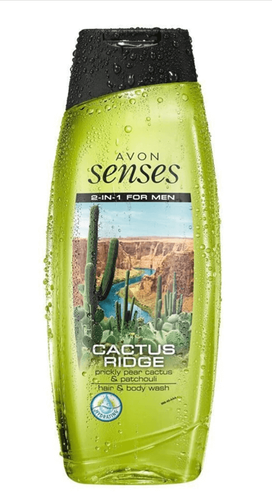 Avon - Avon Senses Cactus Ridge 2-In-1 For Men Saç ve Vücut Şampuanı 250 ml